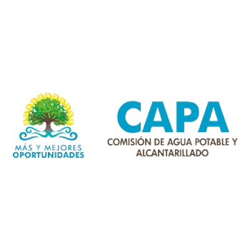 capa-1-removebg-preview